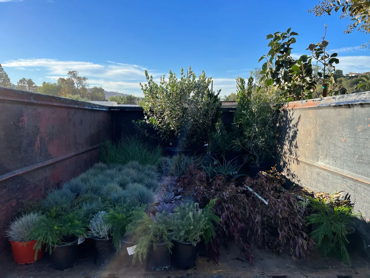Sea's Edge hardscape — Mission Viejo