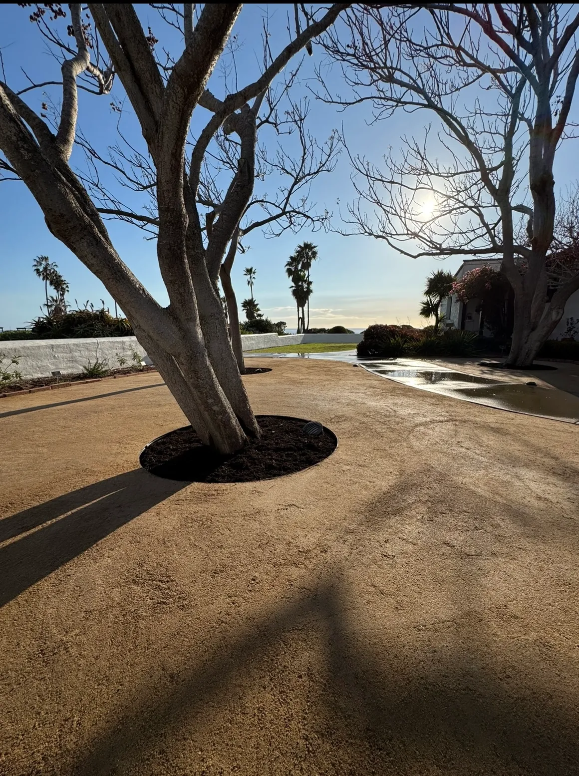 Sea's Edge pathway — Dana Point