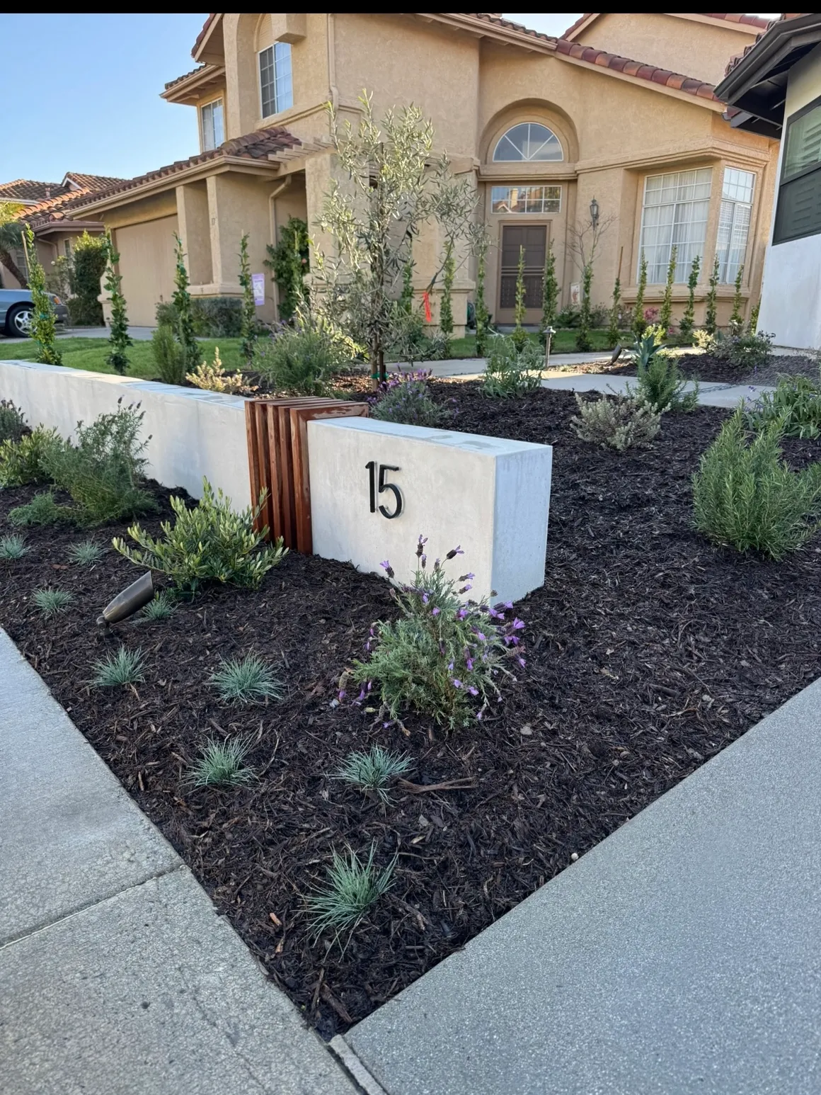 Sea's Edge design — Laguna Niguel